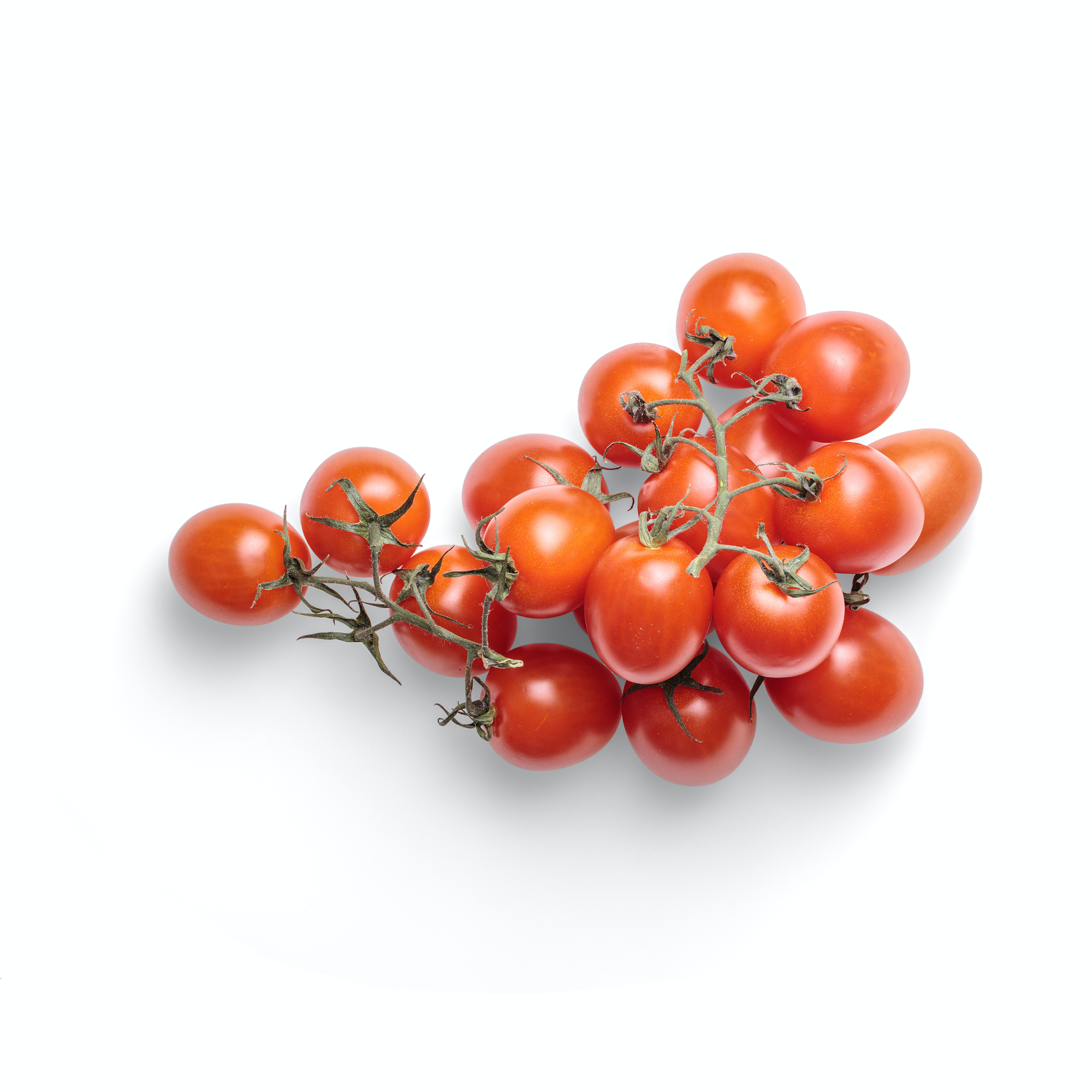 tomatos